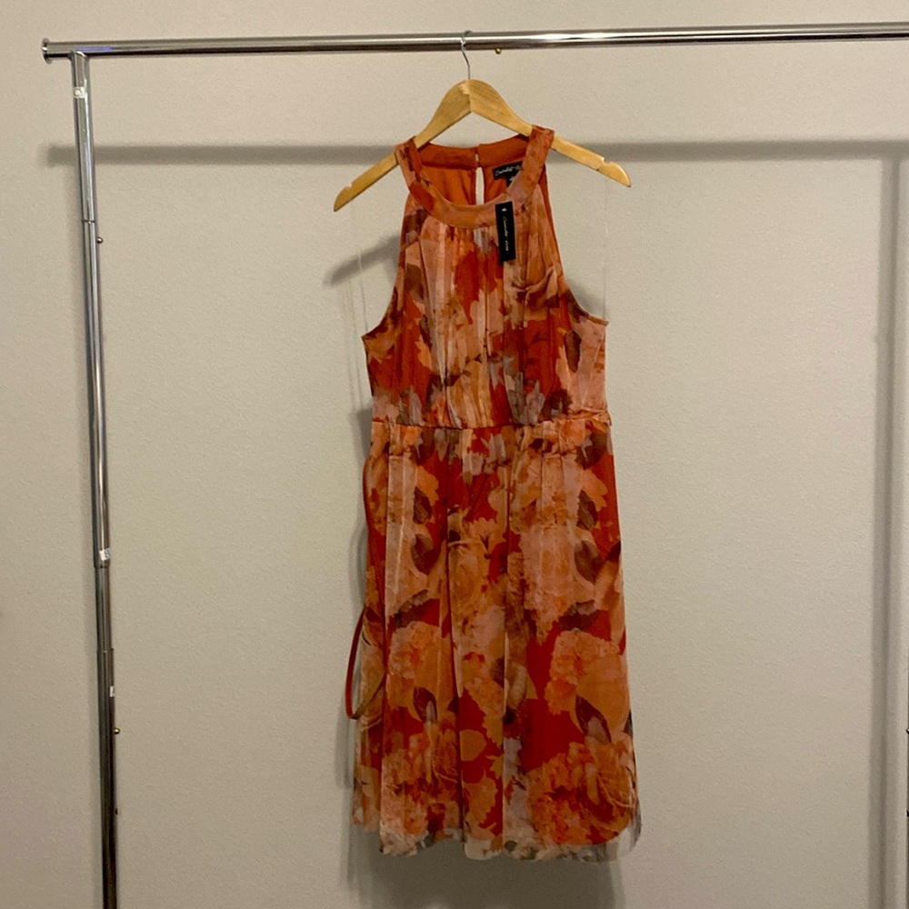 Women’s Dress